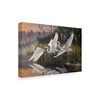 Trademark Fine Art Wilhelm Goebel 'Morning Departure Egrets' Canvas Art, 30x47 ALI33652-C3047GG